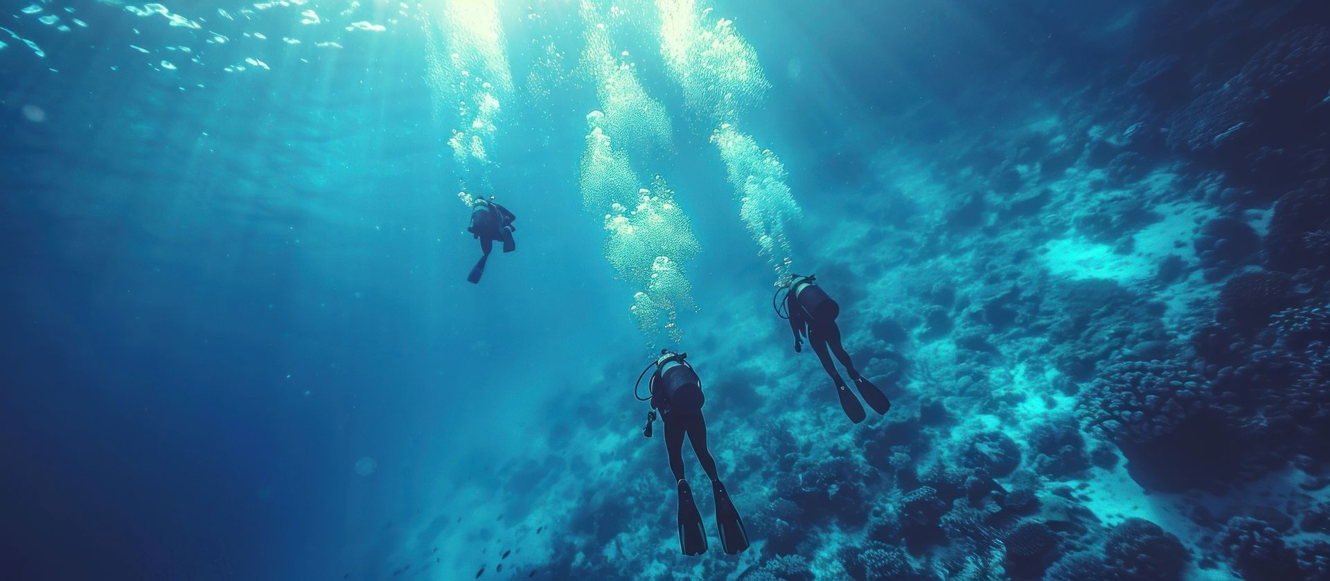 Falcon Hotel | Scuba Diving