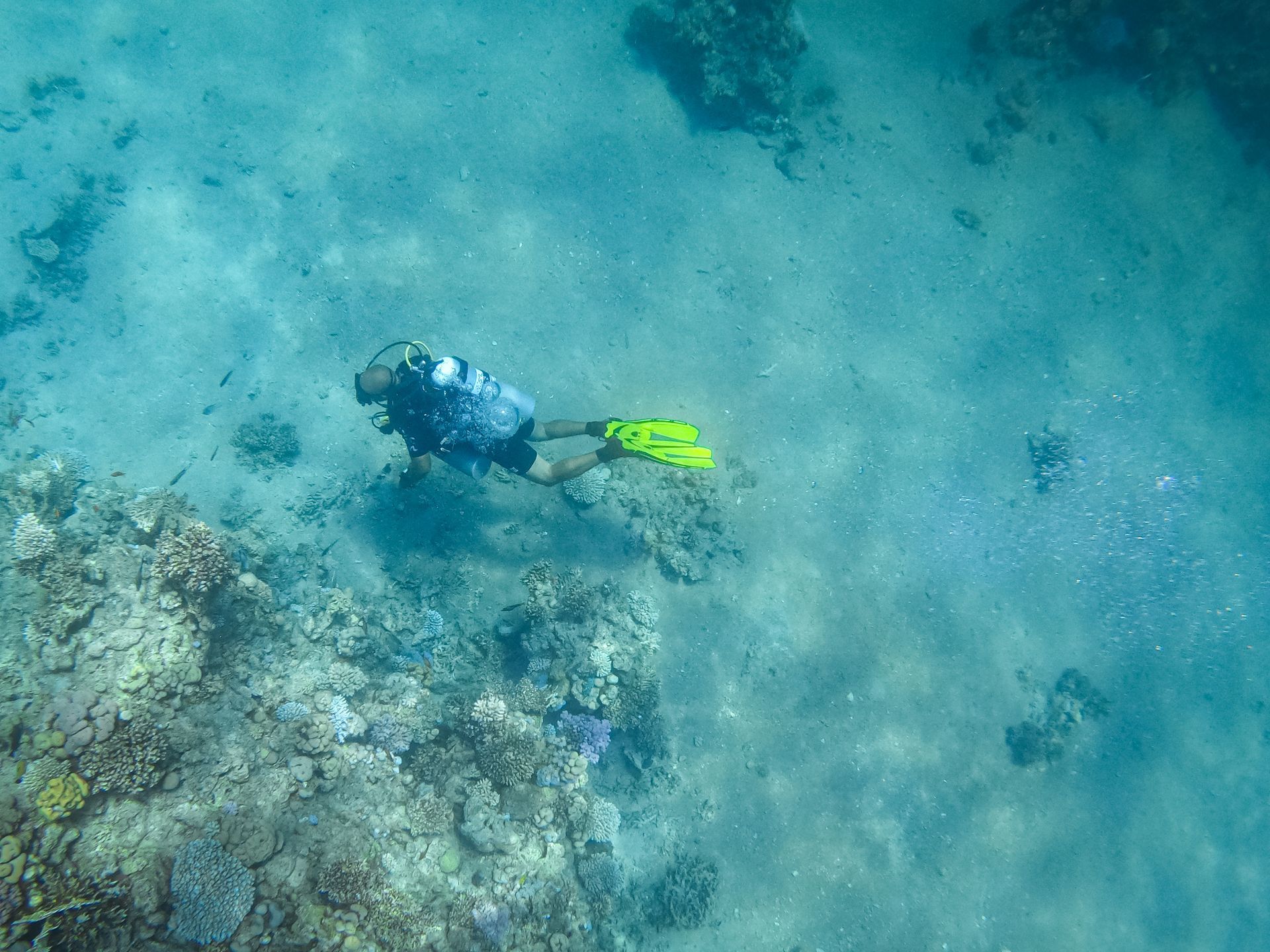 Falcon Hotel | Scuba Diving