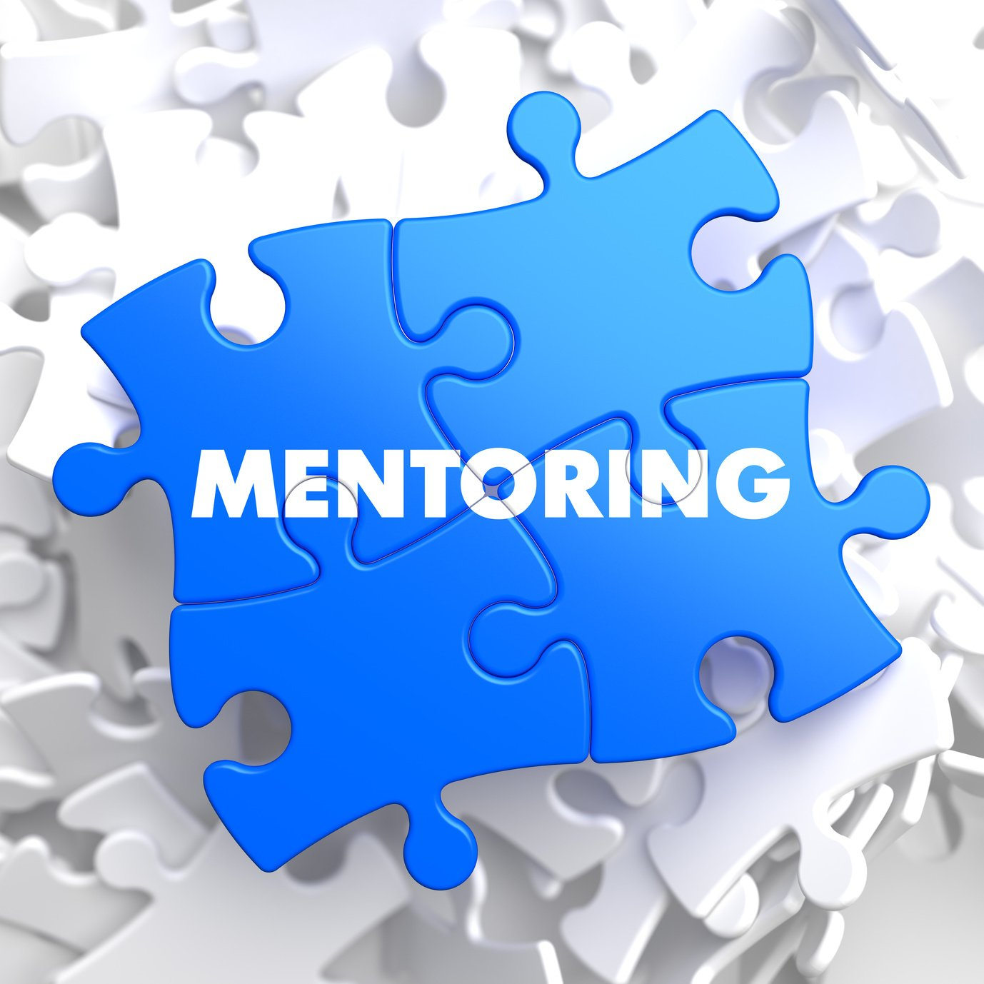 Mentoring Support