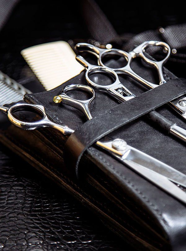 Ritter Barber Shears