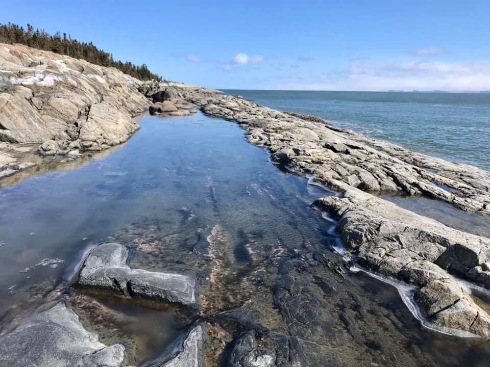 Littoral rocheux avec une mare à marée basse reflétant le ciel, l'océan visible en arrière-plan.