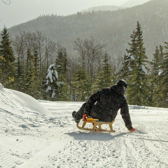 Une personne descend une colline enneigée en luge, entourée d'arbres et de montagnes.