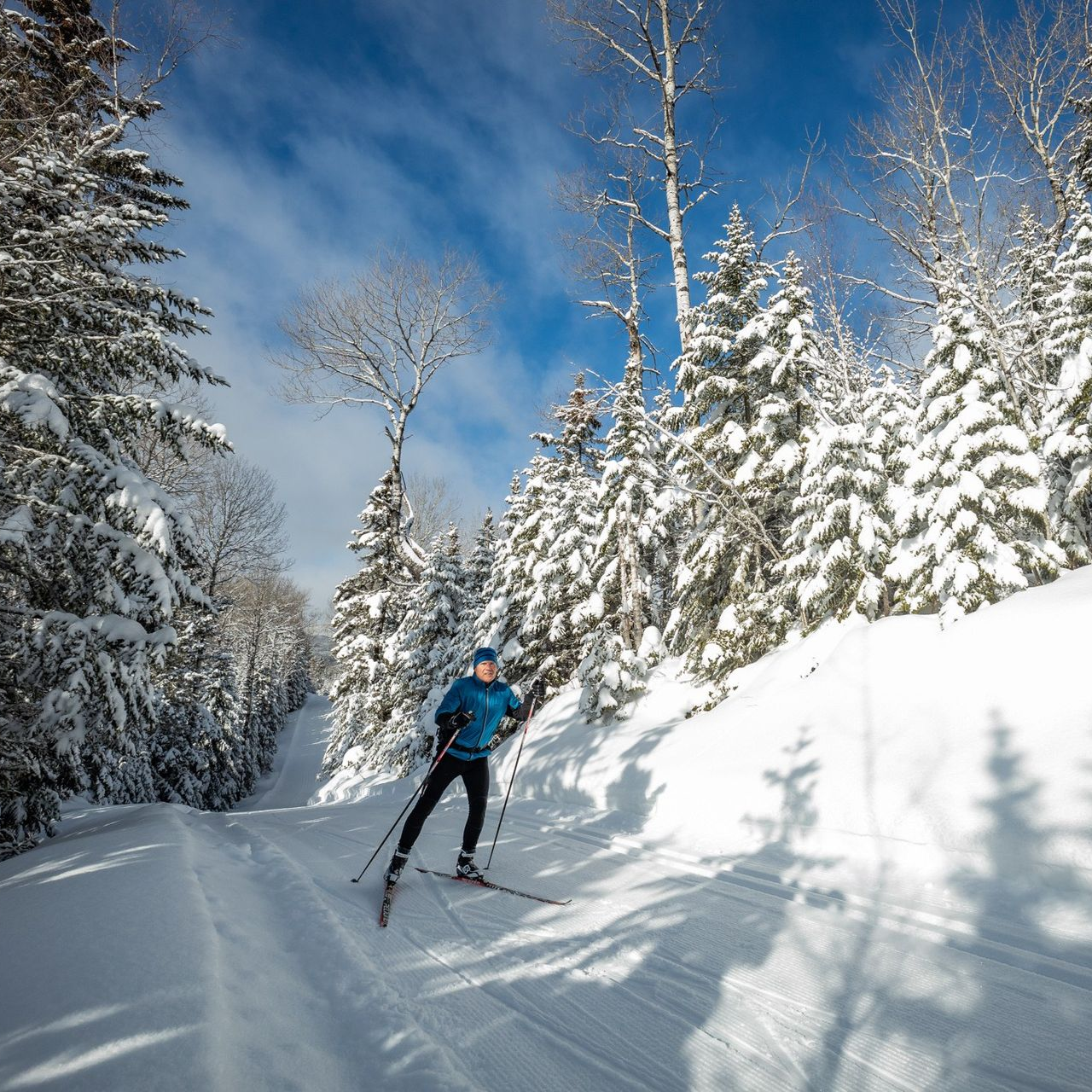 Une personne pratique le ski de fond sur une piste enneigée traversant une forêt de conifères par une journée ensoleillée.