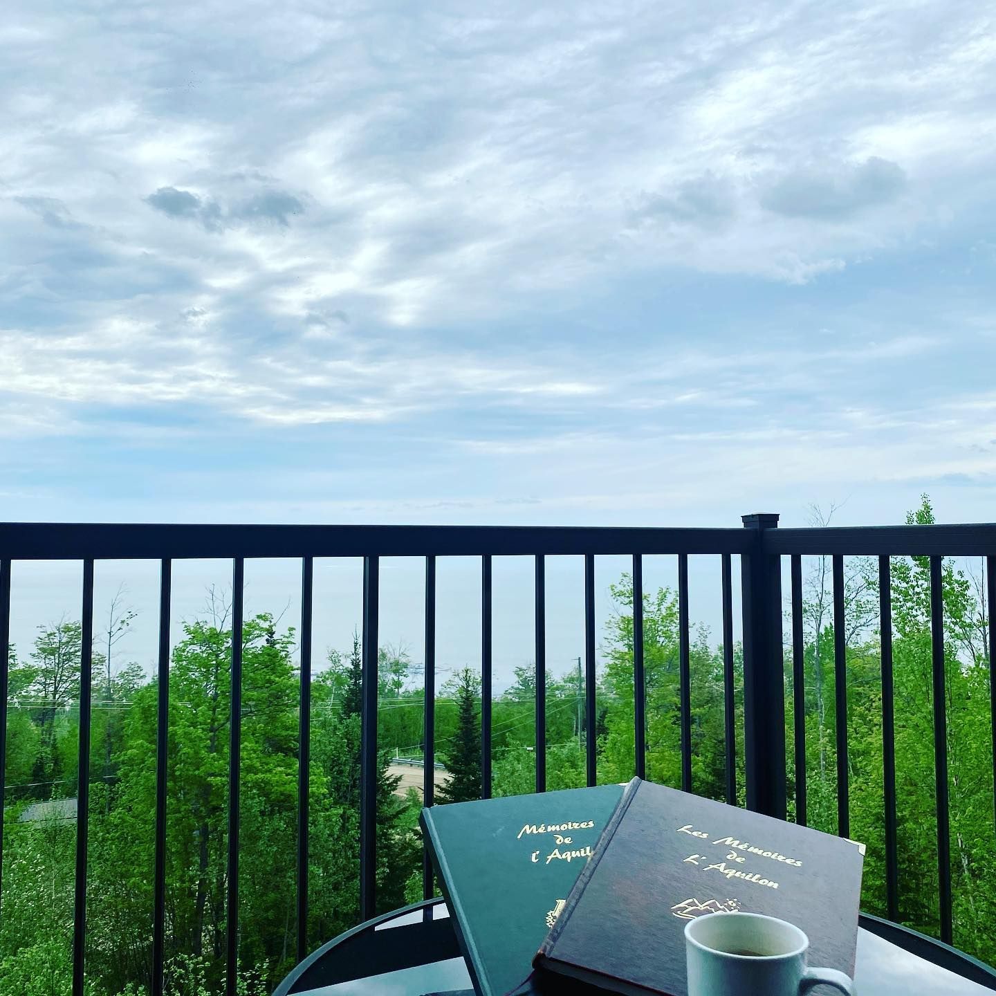 Livres et tasse de café sur une table, vue depuis le balcon sur les arbres et le ciel nuageux.