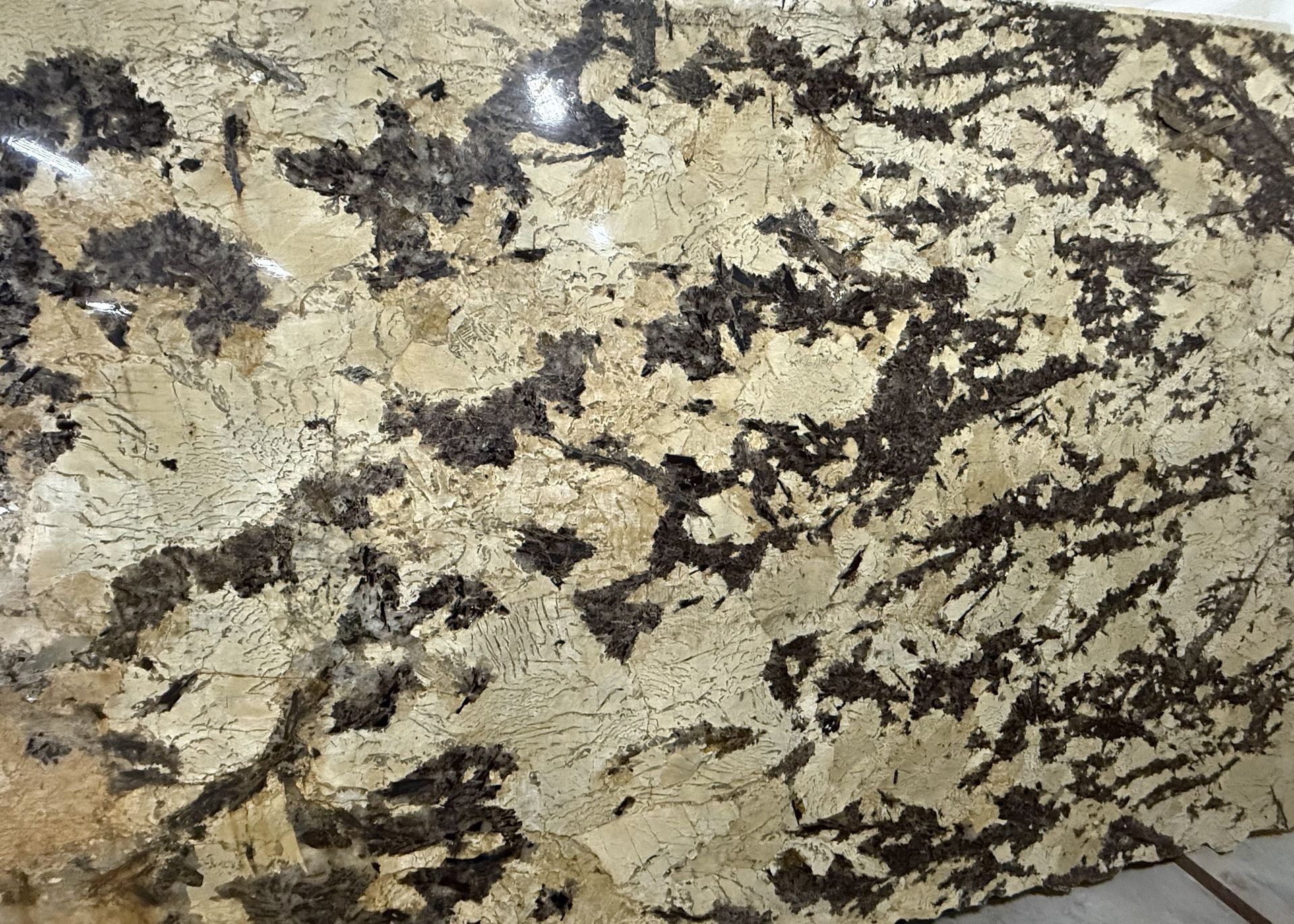 Splendor Granite 3CM