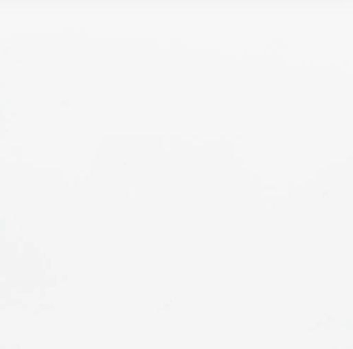 Pure White Honed Quartz Pure White Honed Quartz