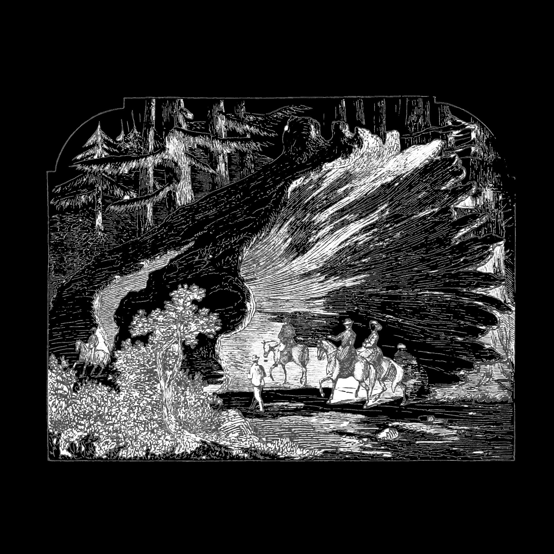 Bad Nomad Hollow Willow