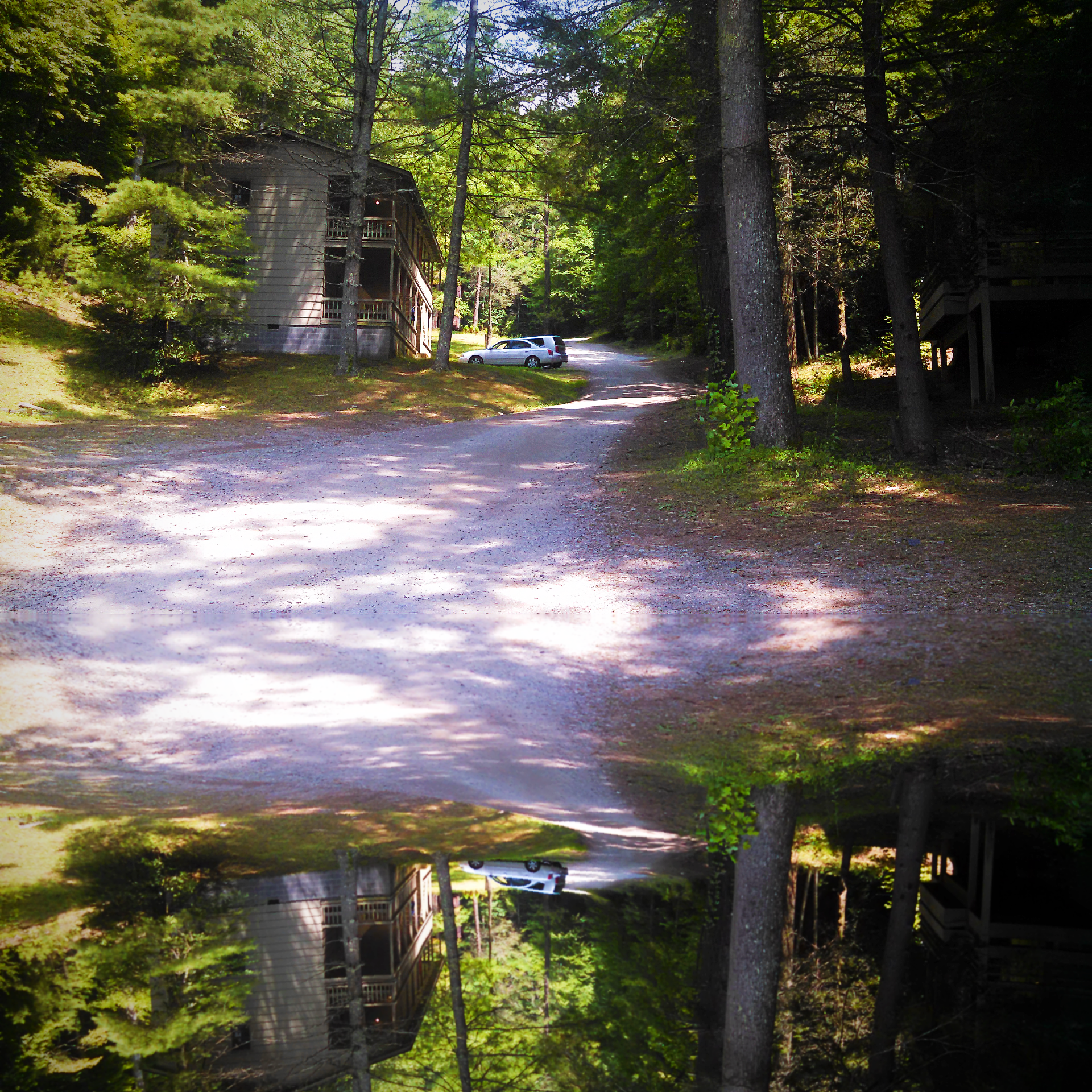 Bad Nomad Voices from the Cabin