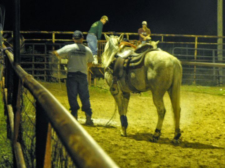 People preparing a horse in a dimly lit rodeo arena.