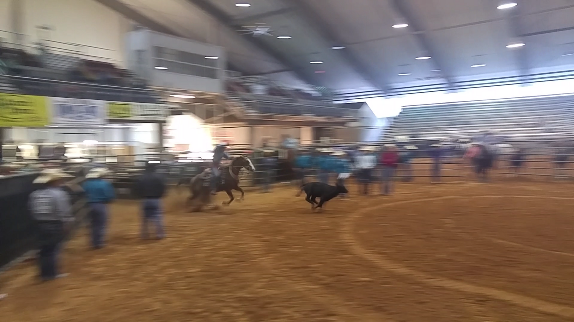 Rodeo event: A rider on horseback pursues a steer in an arena; audience present in a large indoor setting.