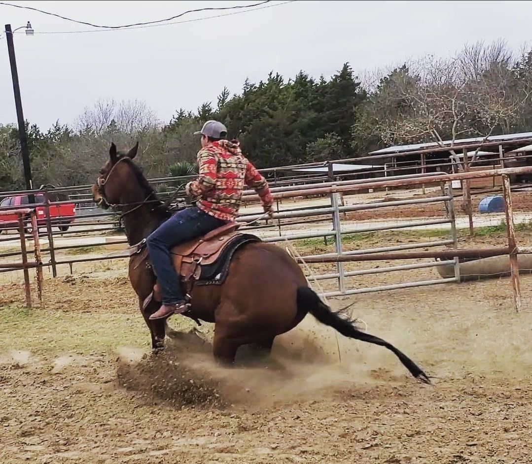 Person riding a brown horse, horse kicking up dirt in a fenced outdoor arena.