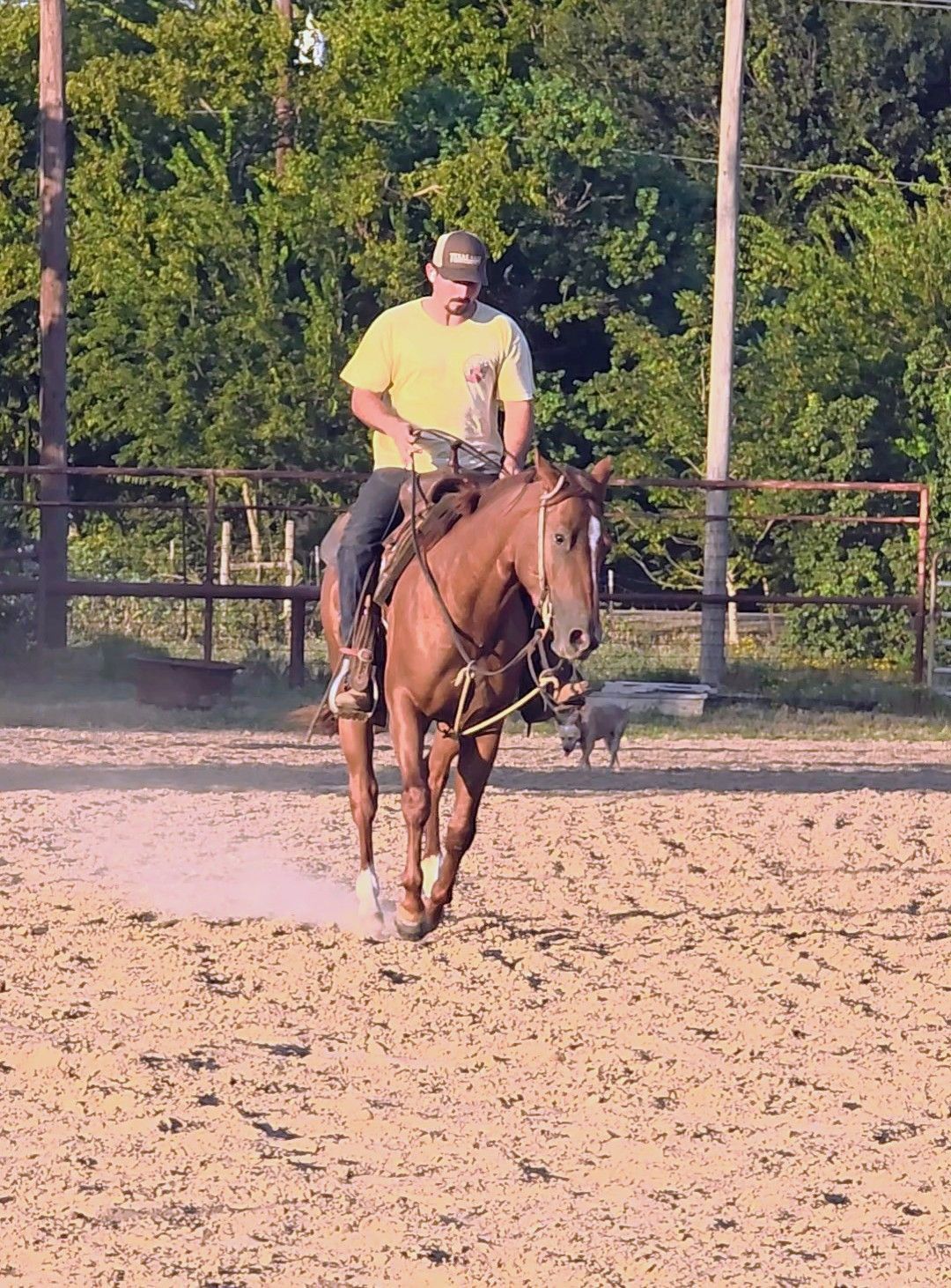 Young woman laughing, head tilted back, brown hair, green shirt, white background.