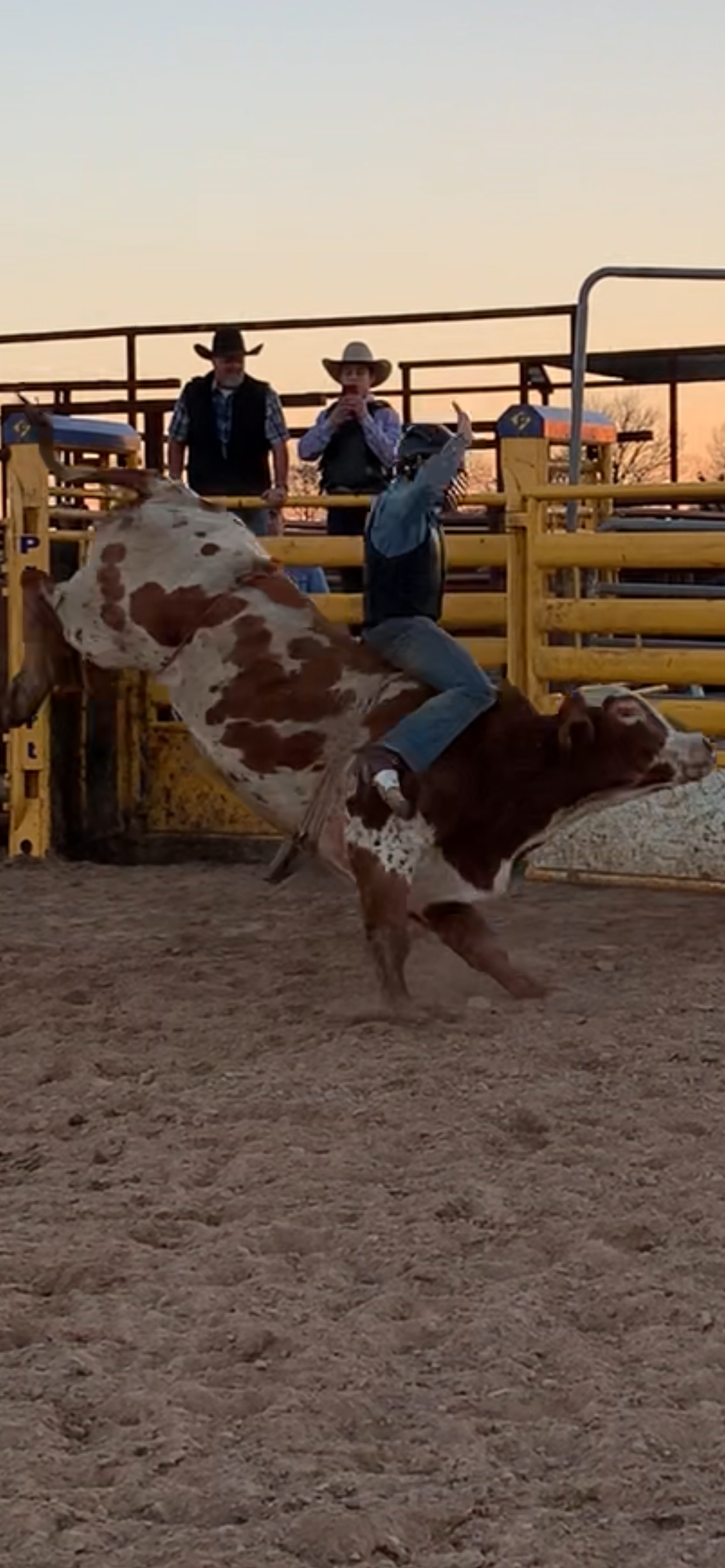 Cowboy riding a bucking bull at a rodeo with two observers in the background.