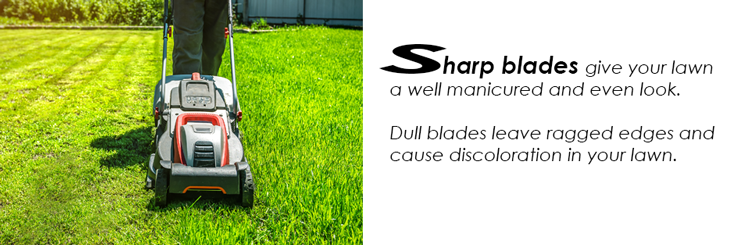 Sharp Blades in the Garden