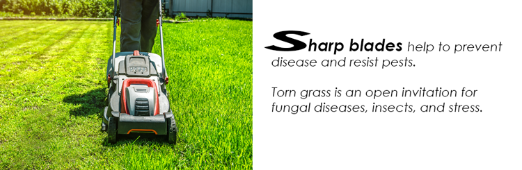 Sharp Blades in the Garden