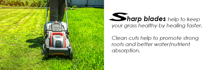 Sharp Blades in the Garden