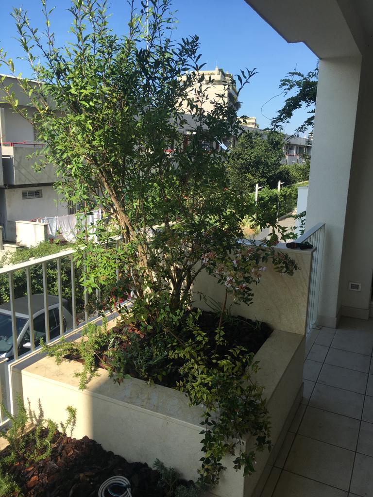 aiuola verde su terrazzo