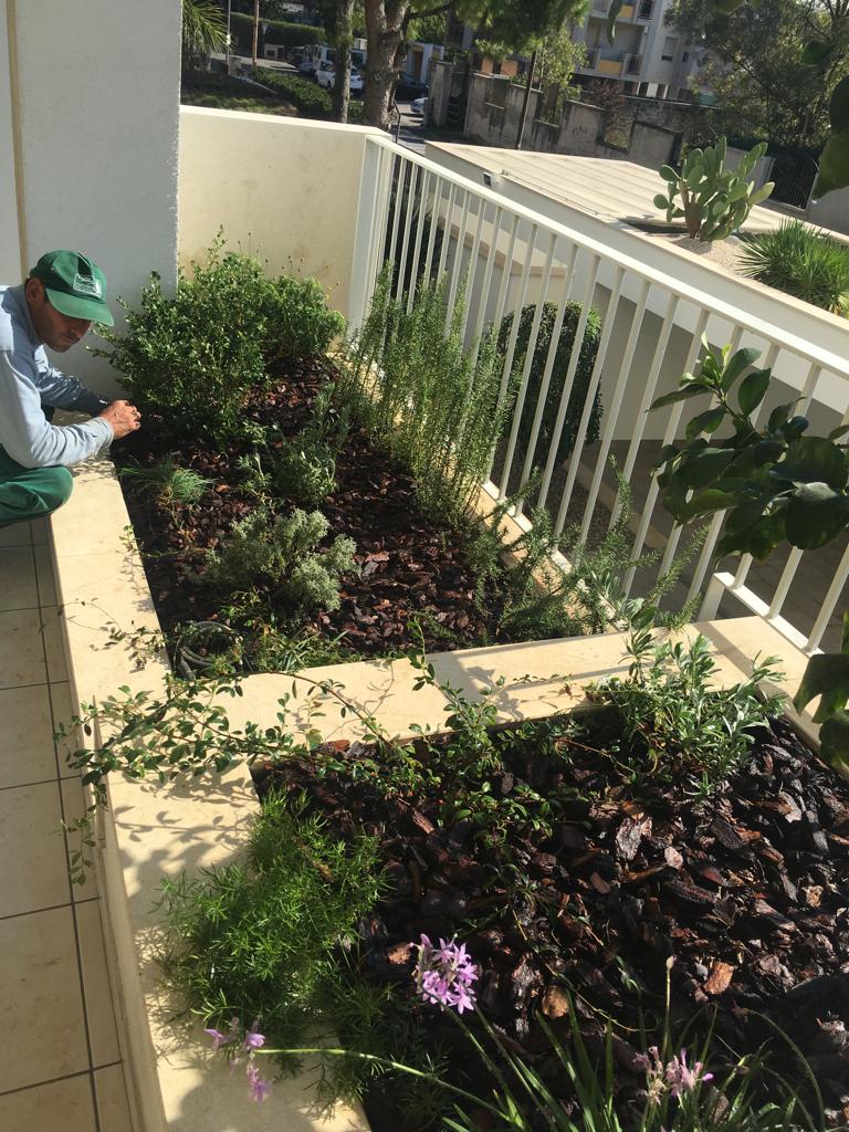 area fiorita su terrazzo