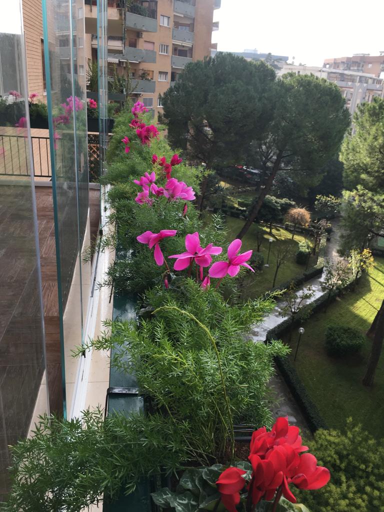 vasi fioriti per terrazzo