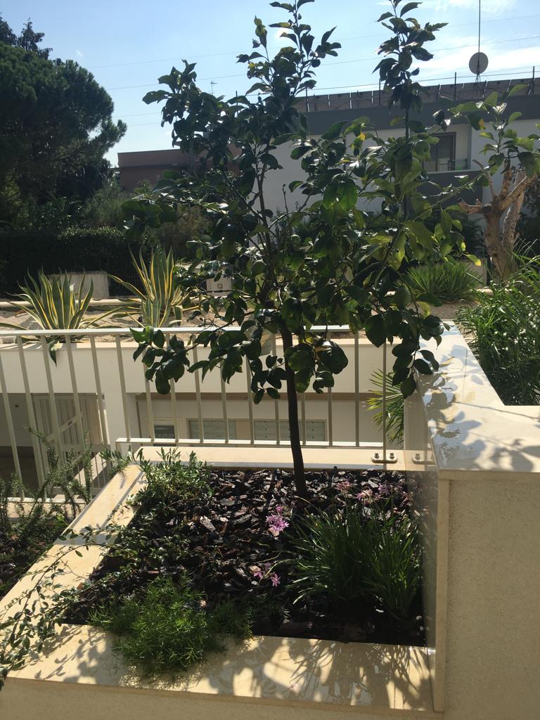 aiuola verde per terrazzo