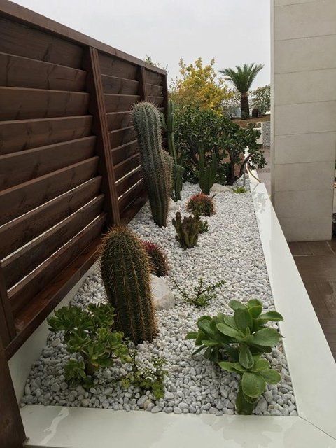 piante grasse per giardino privato