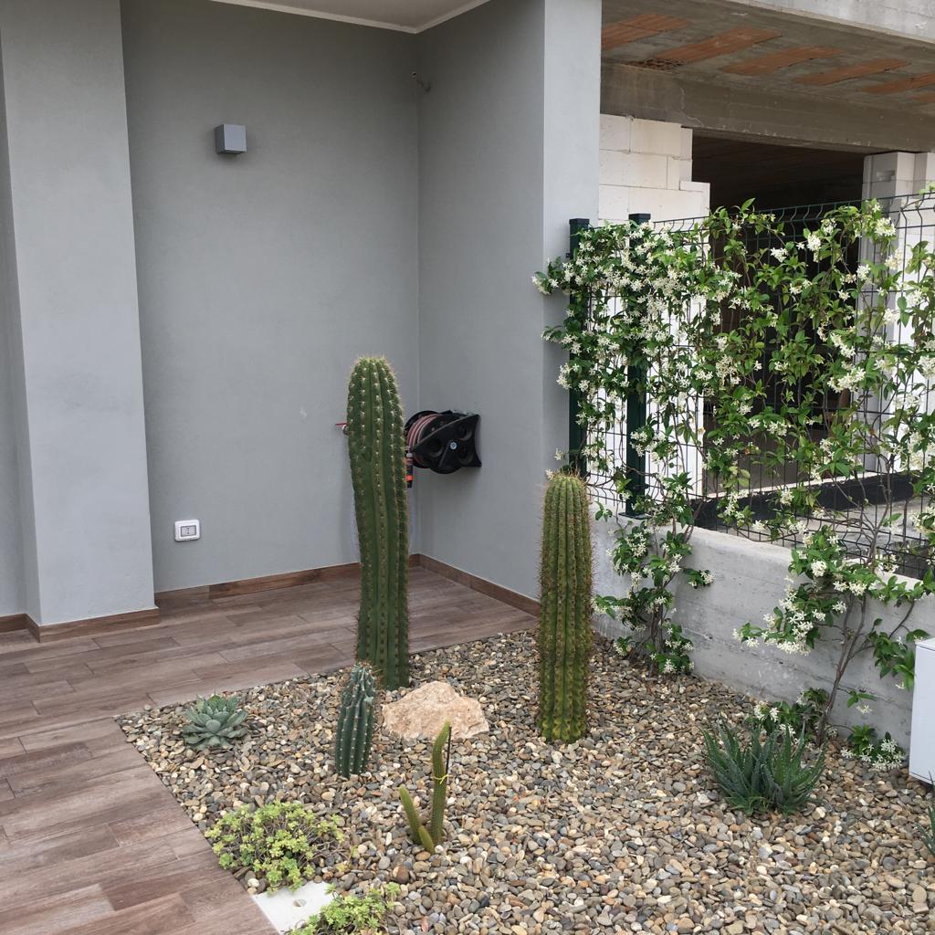 piante grasse per giardino privato