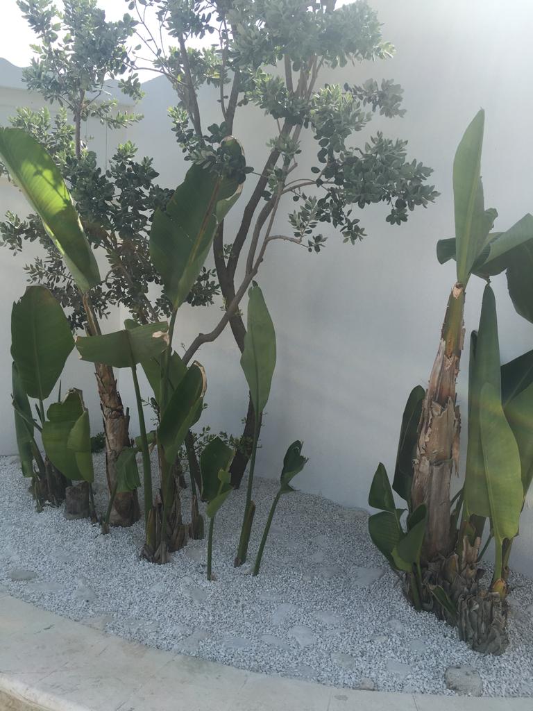 angolo verde con ghiaia