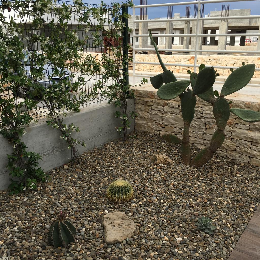 angolo con piante grasse