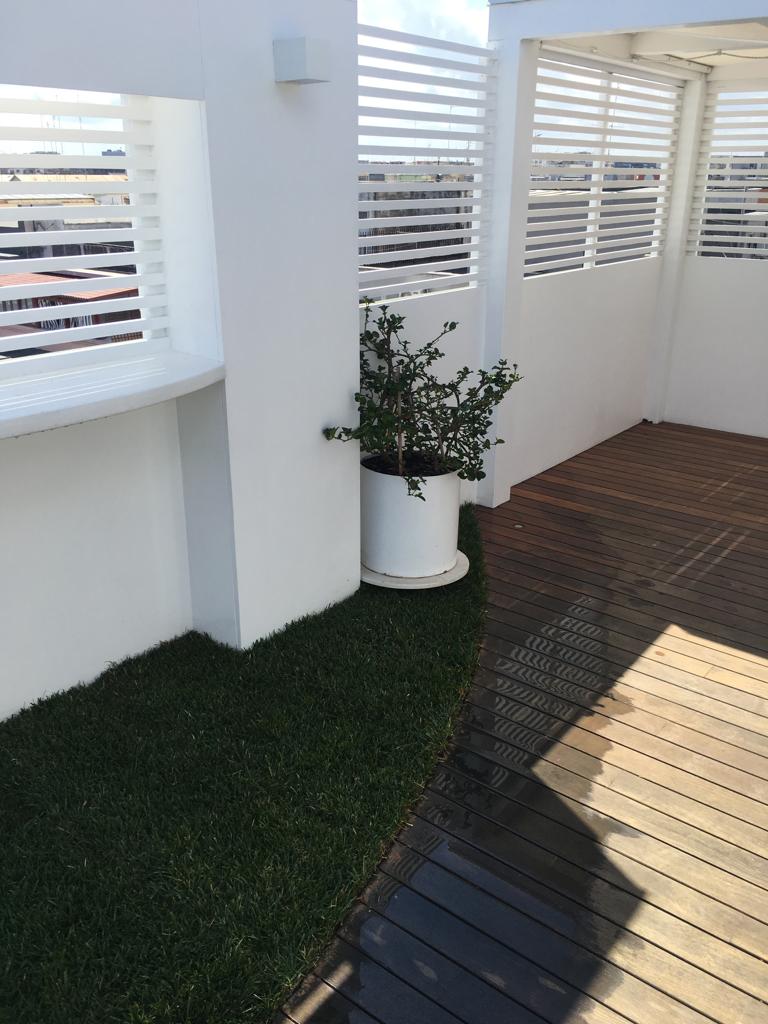 prato pronto per terrazzo