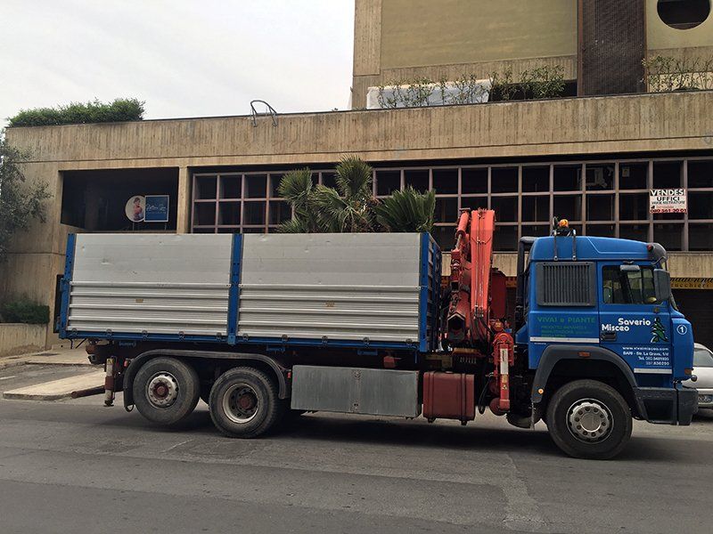 espianto alberi da giardino