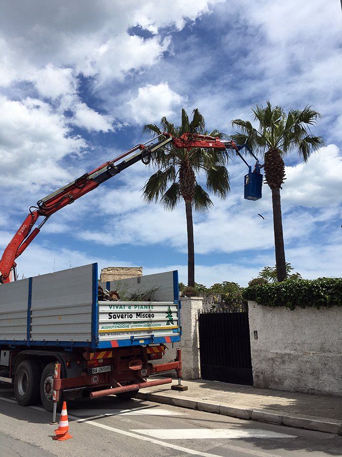 potatura da piattaforma aerea