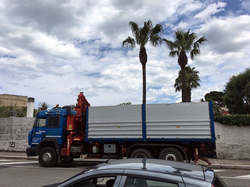 trasporto residui verdi