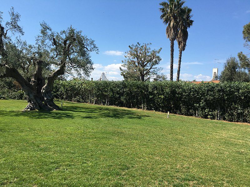 conservazione giardino privato