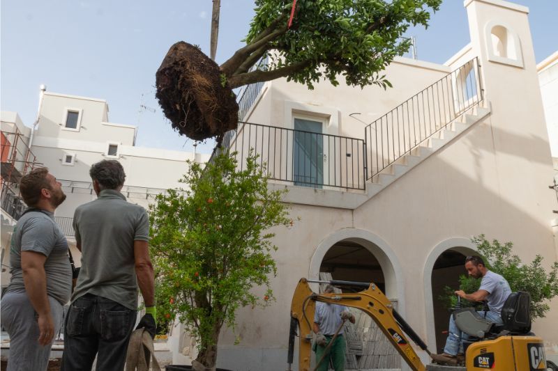manutenzione di un giardino privato