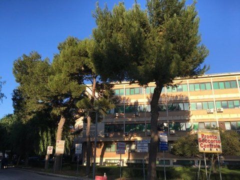 potatura alberi secolari