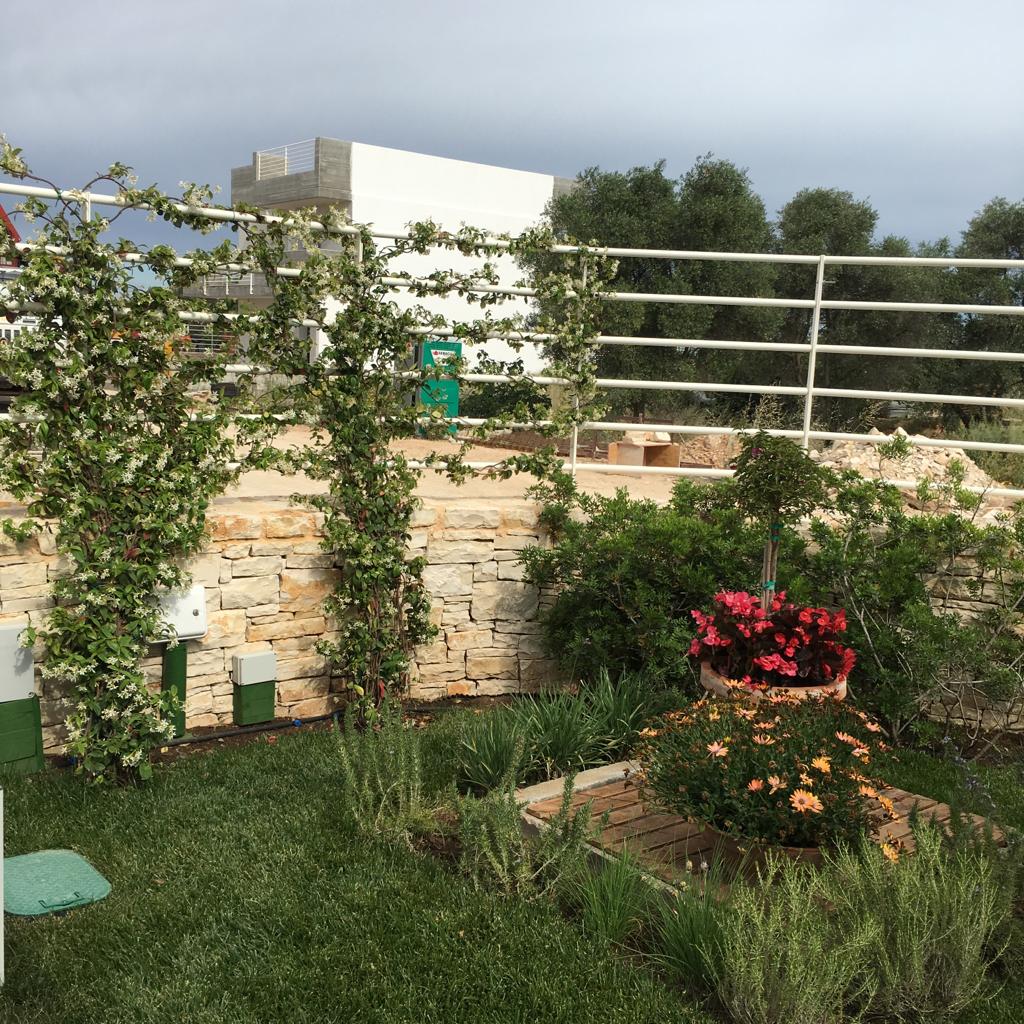 giardino privato con piante rampicanti