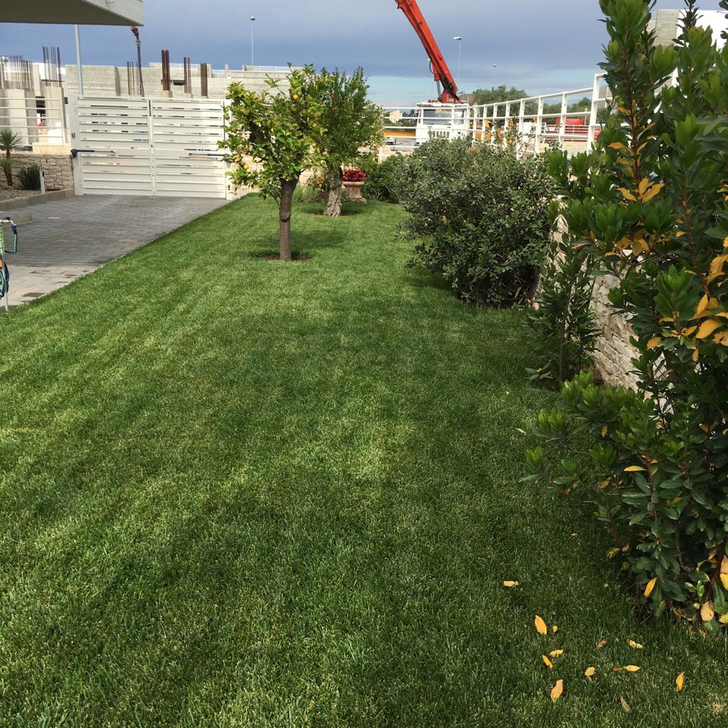 giardino privato con alberi da frutto
