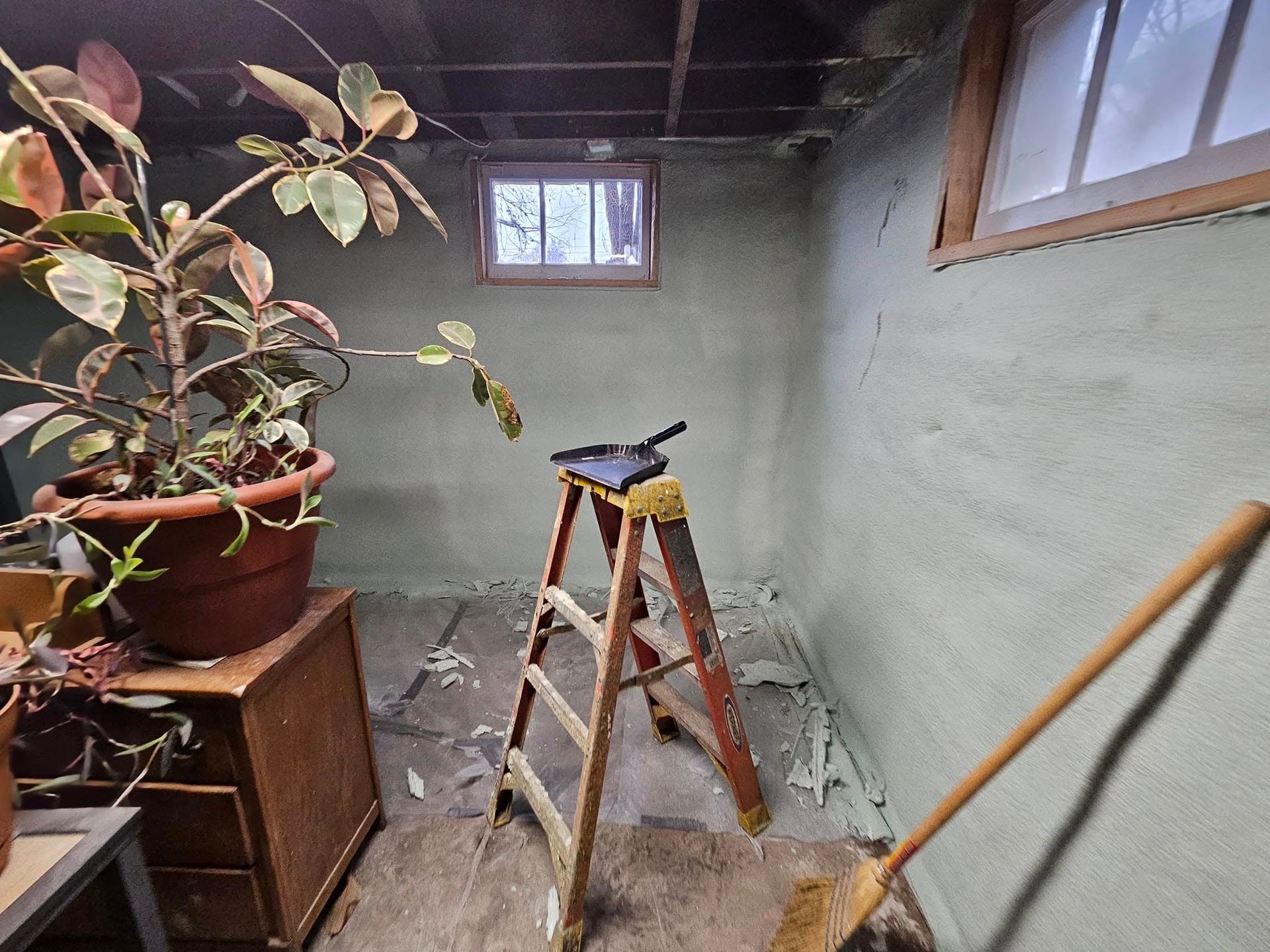 Basement interior with a potted plant, ladder, window, and broom. Green walls, wooden beam ceiling.