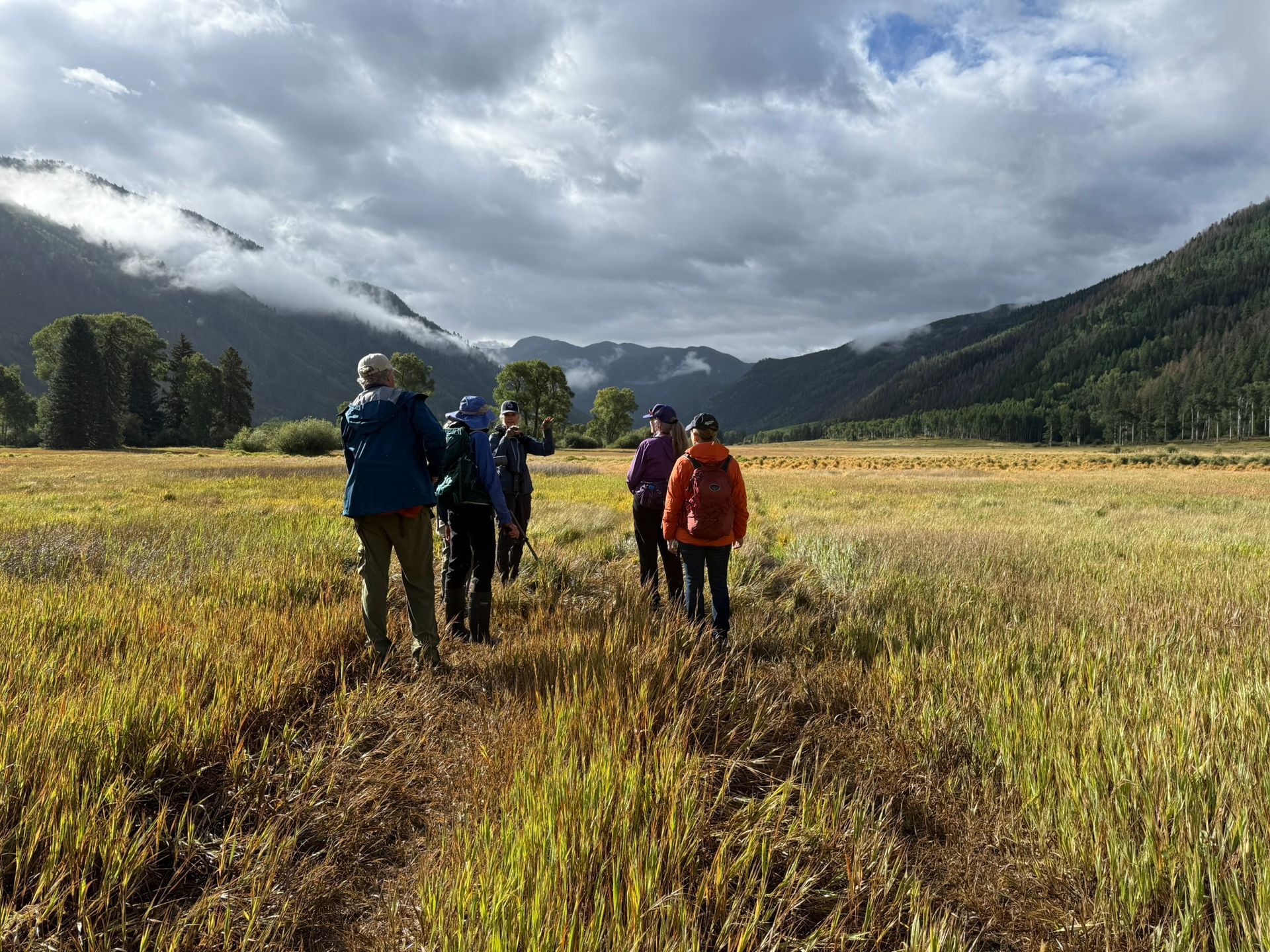 Five hikers walk along a path through a large, grassy meadow toward distant mountains under a cloudy, overcast sky in roaring fork colorado