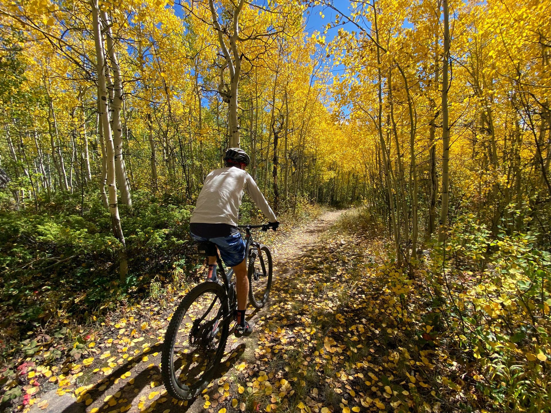 A biker on a trail in september in roaring fork colorado