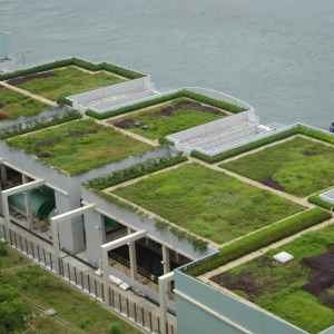 Roofing Services — Green Roofs in Suffolk, VA