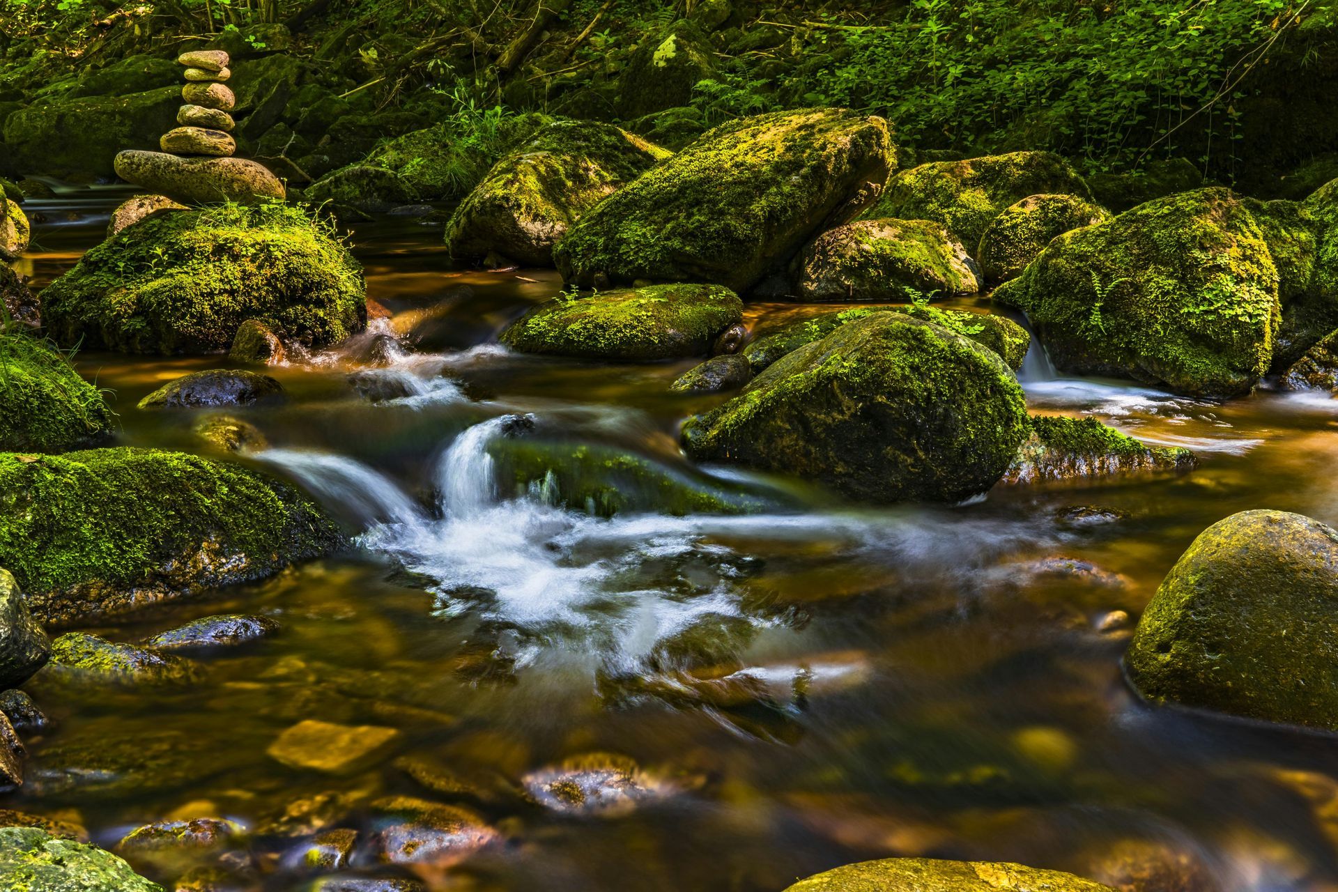 A clear stream flows over moss-covered rocks in a forest, with a small stone stack.
