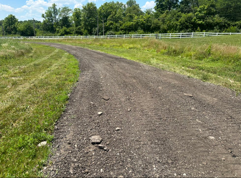 Gravel road curving through a green field, leading to a white fence and trees under a blue sky.