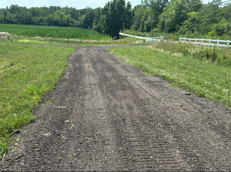 A dirt road leads through a grassy field toward a forest and a white fence. The road has tractor tire tracks.