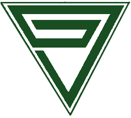 Green and white inverted triangle logo with a stylized 