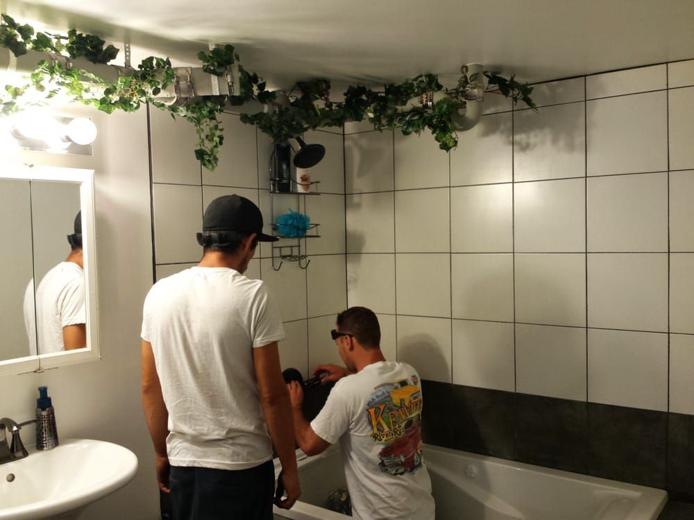 Two men in a bathroom; one reaches into the tub, the other looks on. Faux greenery hangs above the shower.