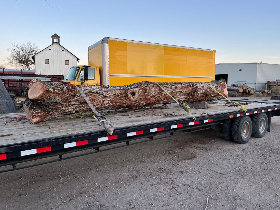 A large log secured to a flatbed trailer; a yellow truck is in the background near a white barn.
