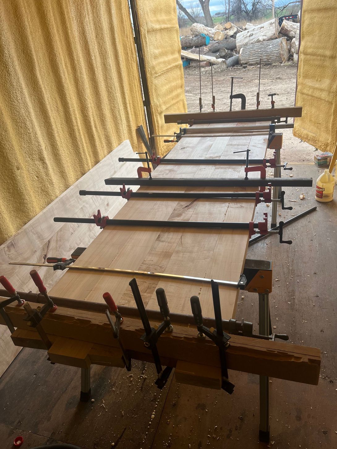 Wooden planks clamped together on a workbench, likely for a woodworking project.
