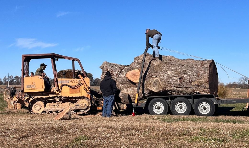 A bulldozer and several people loading a massive log onto a trailer in a field under a blue sky.
