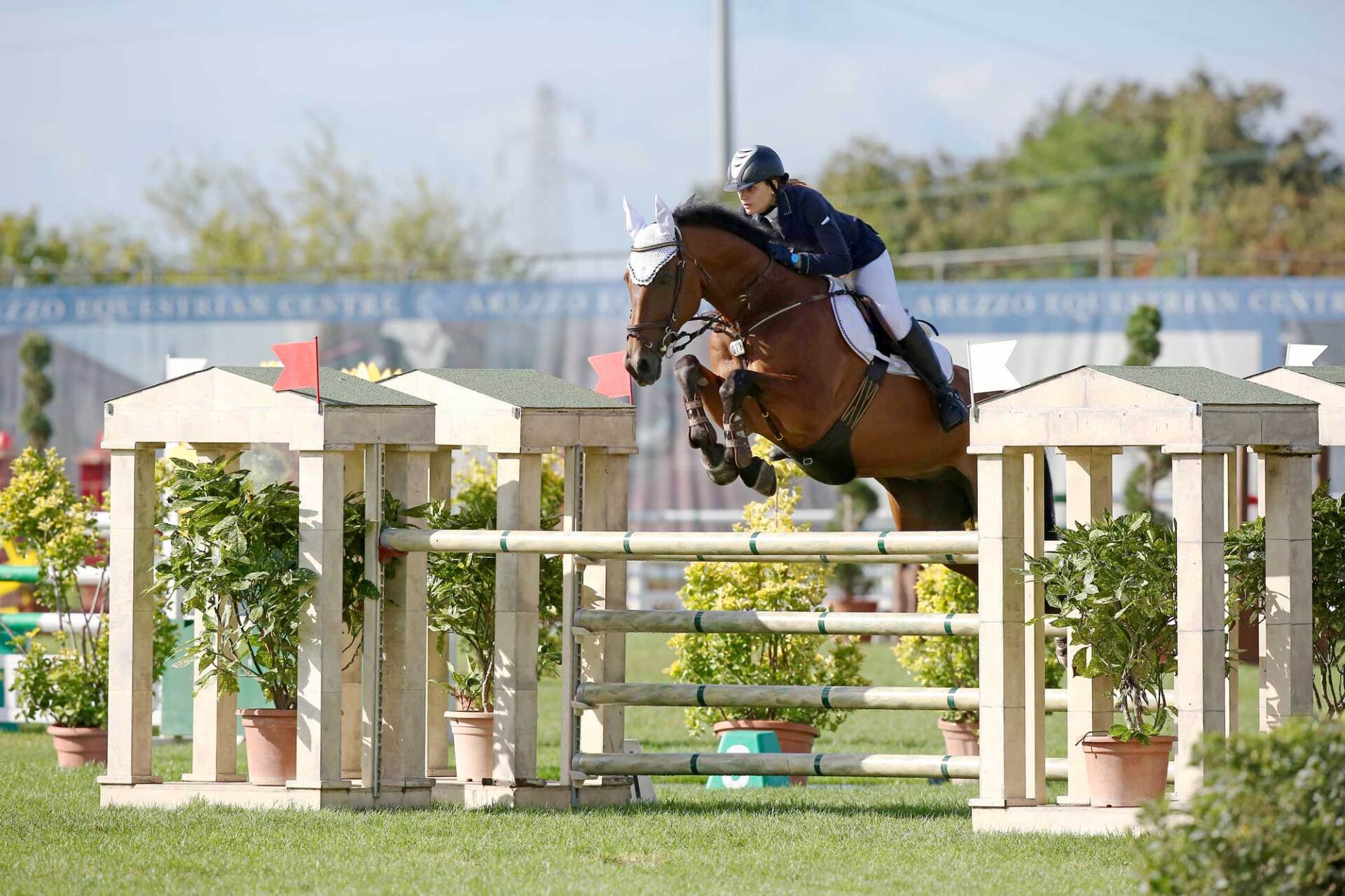 solto ad ostacoli competizione equestre